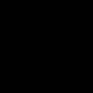 Meet your Posher, Dom